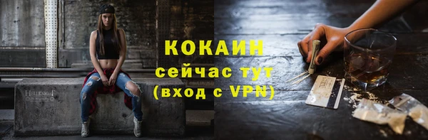 крисы Горняк