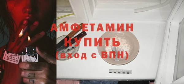 крисы Горняк