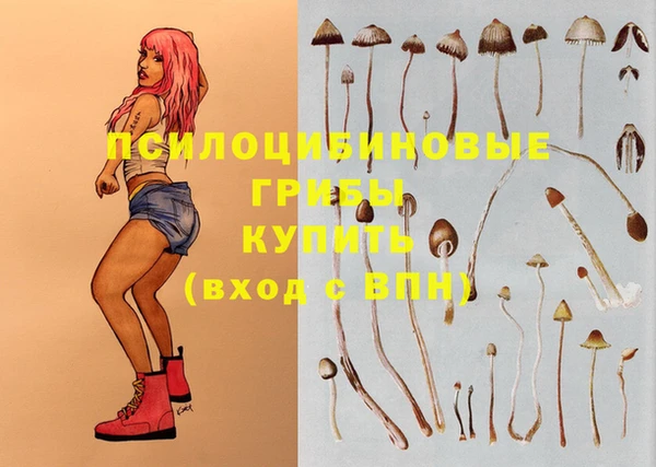 дмт Горнозаводск