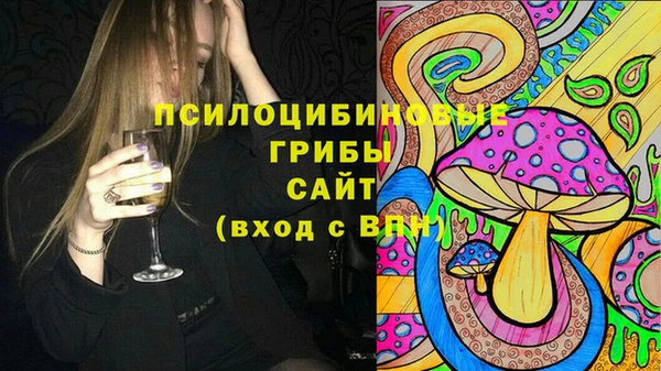 дмт Горнозаводск