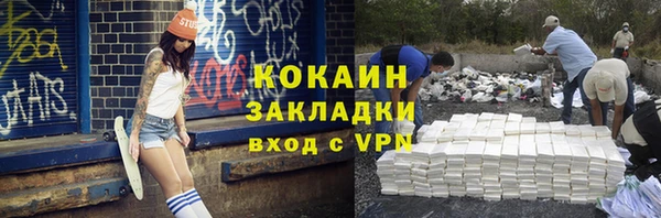 крисы Горняк