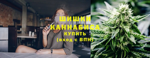 крисы Горняк