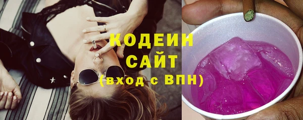 мдпв Горно-Алтайск