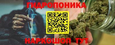 PSILOCYBIN Гусь-Хрустальный