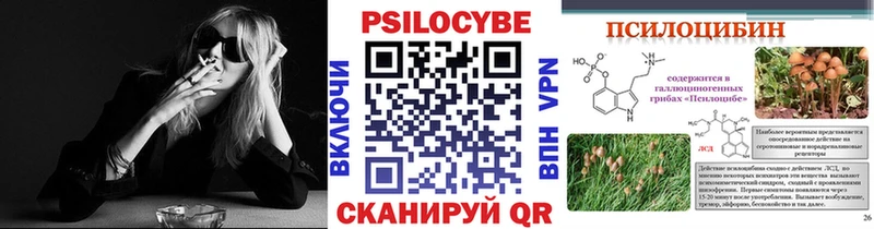 что такое   Ефремов  Галлюциногенные грибы Psilocybe 