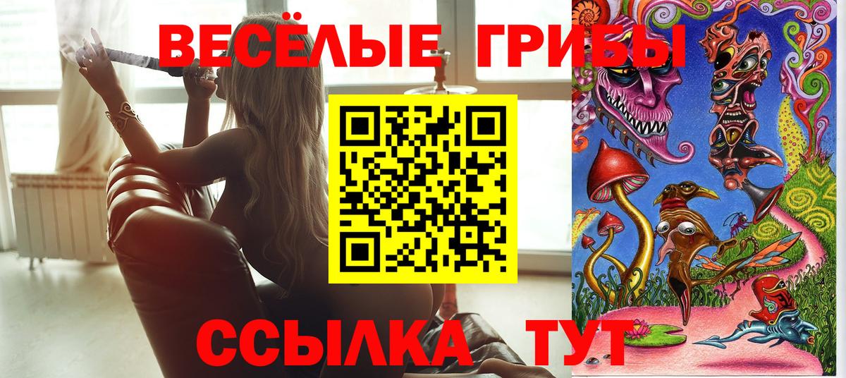 Псилоцибиновые грибы мухоморы  Ефремов 