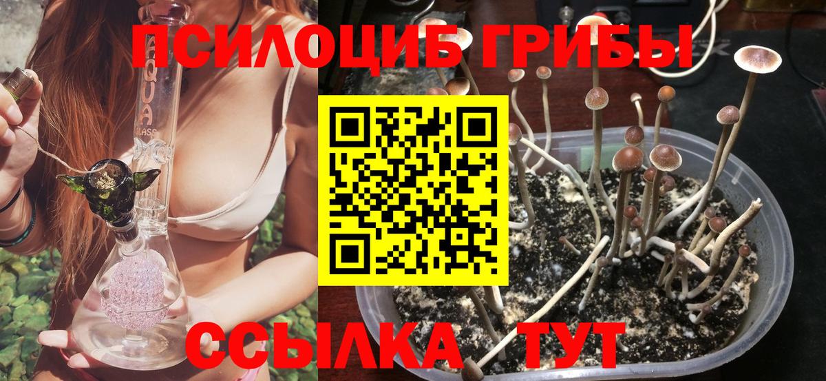 Ефремов  Псилоцибиновые грибы Psilocybe  Псилоцибиновые грибы Psilocybine cubensis  что такое   Вход с VPN 