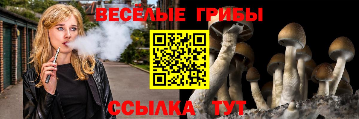 Галлюциногенные грибы Psilocybine cubensis Ефремов
